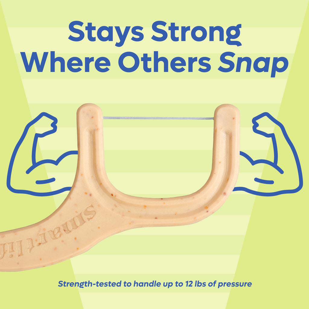 Mint Dental Floss Picks for Easy Daily Oral Care